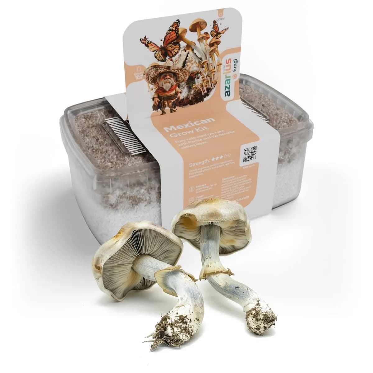 Kit de Cultivo de Cogumelos Mágicos Mexican