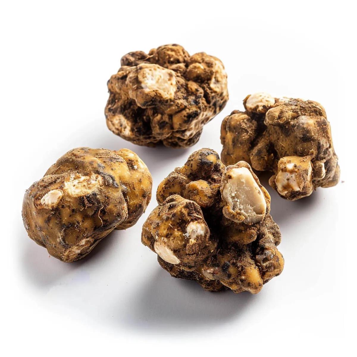 Trufas Mágicas Fantasia